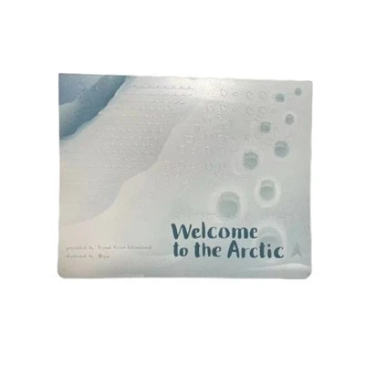 Braille bog